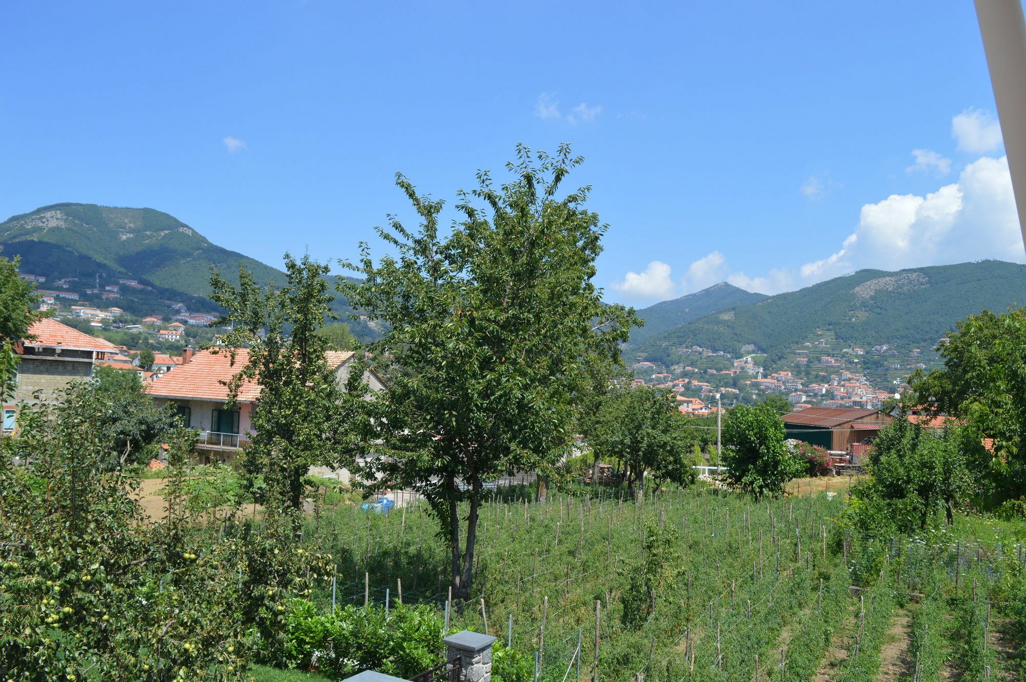 La Casa Dei Fiori - Ospitalita Diffusa Agerola Exterior photo